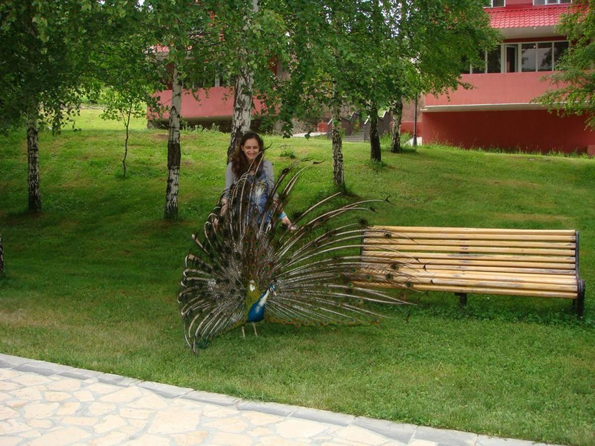 Ani Resort Artavaz Exterior foto